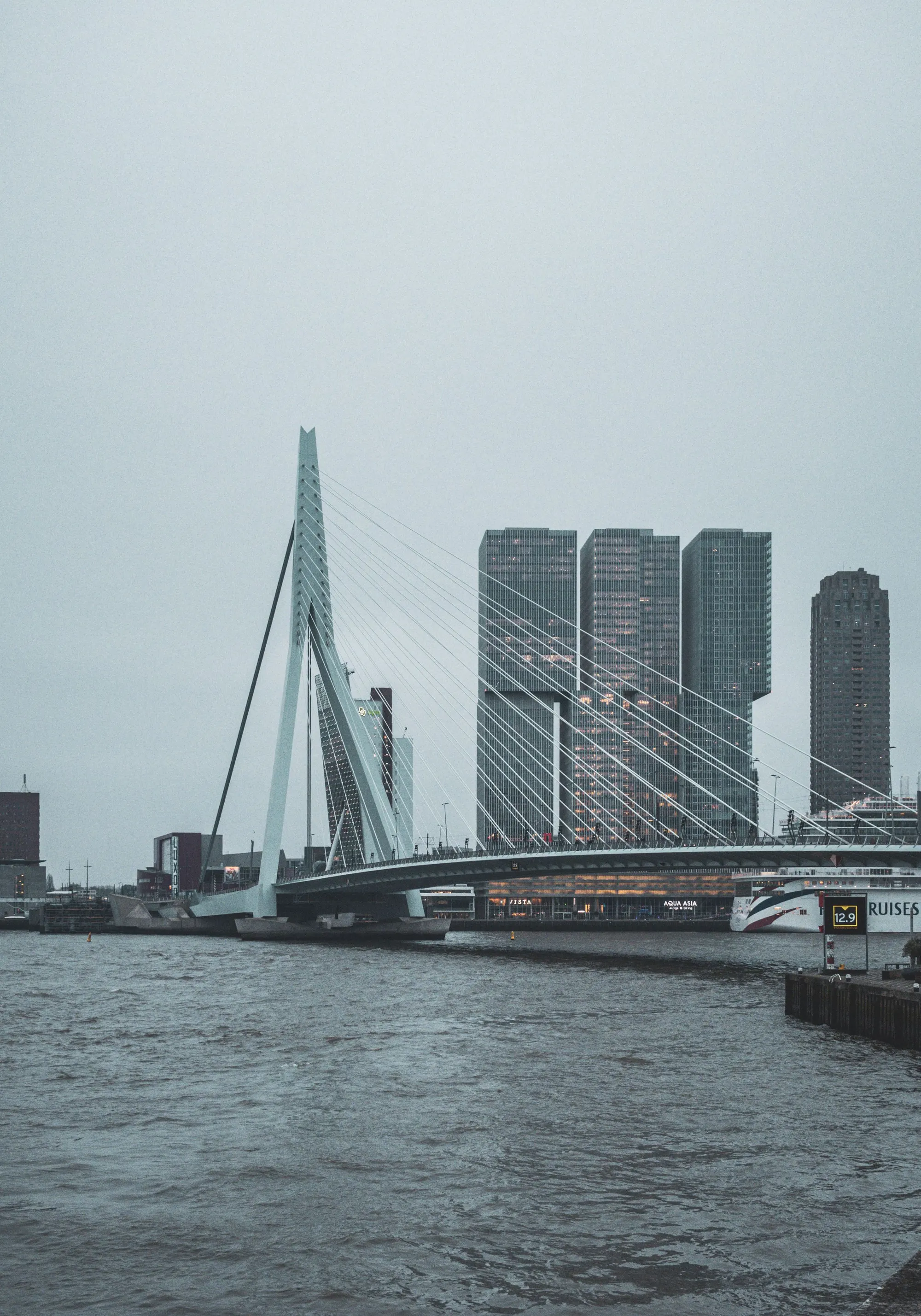Erasmusbrug over de Nieuwe Maas in Rotterdam